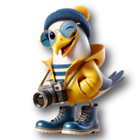 Maîtrisez les réseaux sociaux pour une audience engagée